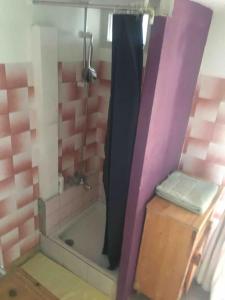 een badkamer met een douche, een wastafel en een douche bij Chalet accueillant pour des vacances reposantes in Jarrier