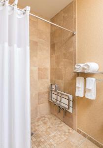 a bathroom with a shower with a shower curtain at Hampton Inn Lubbock in Lubbock