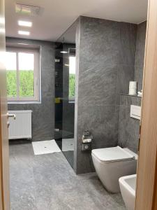 a bathroom with a toilet and a shower and a sink at Horská chata Smědava in Weissbach