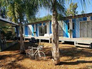 ein blaues Haus mit einem Fahrrad neben zwei Palmen in der Unterkunft Squania Suite Container & Monoambientes in Termas del Daymán