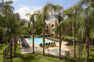 - Vistas a un complejo con piscina y palmeras en Embassy Suites by Hilton Phoenix Tempe, en Tempe