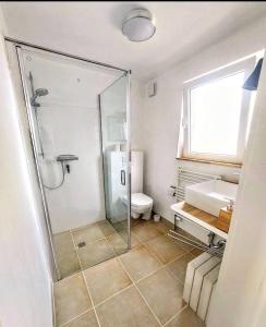 een badkamer met een douche, een toilet en een wastafel bij Marschblick in Tönning
