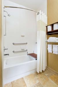 La salle de bains est pourvue d'une baignoire et d'une douche. dans l'établissement Hampton Inn San Angelo, à San Angelo