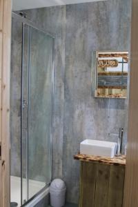 a bathroom with a glass shower and a sink at The Moo-tel at Bargoed Farm in Aberaeron