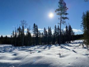 Lokatten Wärdshus talvel