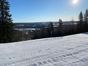 Lokatten Wärdshus talvel
