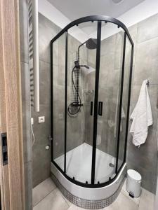 a shower with a glass door in a bathroom at Best for 2 in Pabianice