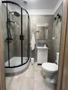 uma casa de banho com um chuveiro, um WC e um lavatório. em Best for 2 em Pabianice