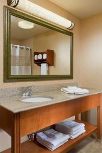 uma casa de banho com um lavatório e um espelho grande em Hampton Inn Chicago-Tinley Park em Tinley Park