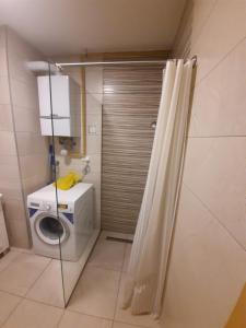 een badkamer met een wasmachine en een douche bij Luxurios Apartment Sarajevo in Sarajevo