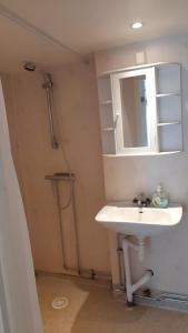 a bathroom with a sink and a shower and a mirror at Alholmens Camping & Stugby in Sölvesborg