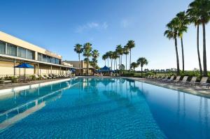 a large swimming pool with palm trees and a building at DoubleTree by Hilton at the Entrance to Universal Orlando in Orlando