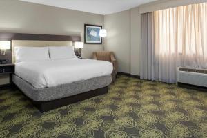 a hotel room with a large bed and a chair at Hilton Garden Inn Reagan National Airport in Arlington