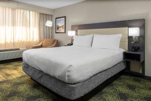 a bedroom with a large bed in a hotel room at Hilton Garden Inn Reagan National Airport in Arlington