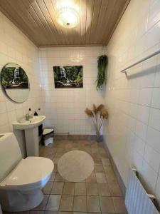 a bathroom with a toilet and a sink at Holiday home close to forest, lake and skiing in Ulricehamn