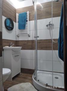 W łazience znajduje się prysznic, toaleta i umywalka. w obiekcie Hotelik rodzinny 365 pokoje z łazienkami w Łodzi