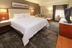 Habitación de hotel con cama y TV en Hampton by Hilton Chihuahua, en Chihuahua