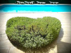 un arbusto con forma de corazón junto a una piscina en Pansion Villa Margerita, en Poreč