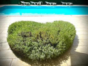a heart shaped bush next to a swimming pool at Pansion Villa Margerita in Poreč