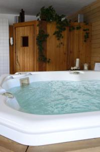 a bath tub filled with blue water in a bathroom at ECONOMY b&b in Bedretto