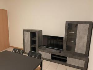 TV a/nebo společenská místnost v ubytování Appartamento di 45mq a Balerna