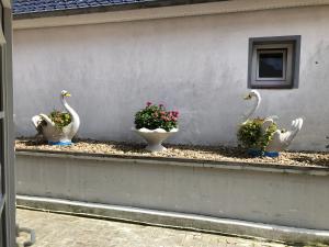 Fotografie z fotogalerie ubytování Garni Hotel-Pension Holum v destinaci Neuharlingersiel