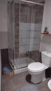 een badkamer met een toilet en een douche bij LA PETITE MAISON in Fucecchio