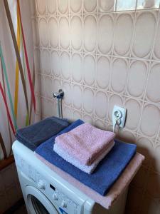 Drvar的住宿－Apartman Lavanda，洗衣机及其上面的两条毛巾
