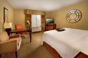 a hotel room with a bed and a desk and a television at Hampton Inn and Suites San Antonio Airport in San Antonio