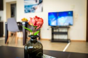 Et tv og/eller underholdning på 3 bedroom seaview apartment /Ground floor/