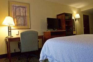 TV a/nebo společenská místnost v ubytování Hampton Inn Ithaca