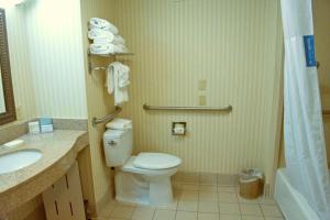Koupelna v ubytování Hampton Inn Ithaca