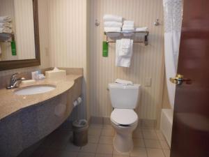 Koupelna v ubytování Hampton Inn Ithaca