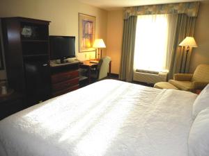 Postel nebo postele na pokoji v ubytování Hampton Inn Ithaca
