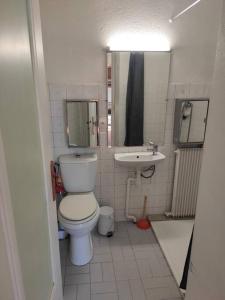 La petite salle de bains est pourvue de toilettes et d'un lavabo. dans l'établissement Maison de Campagne en centre Bourg, à Renaison