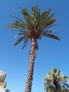 Zdjęcie z galerii obiektu The Snug w mieście Playas de Orihuela