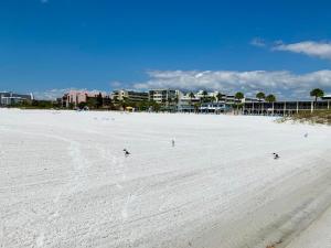 a large white beach with buildings in the background at Calini Beach Club in Sarasota +2 photos