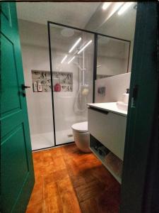 a bathroom with a shower and a toilet and a sink at Casa rural La Mirada de Amelia 