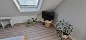 a living room with a flat screen tv and potted plants at Gerburg Haus in Rinteln