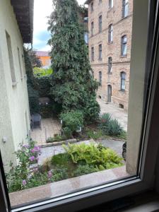 a window view of a garden with a tree at Modernes Appartement "Tom" mit 3 Schlafzimmern in Kröllwitz