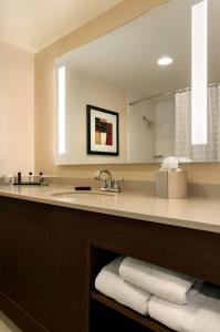 La salle de bains est pourvue d'un lavabo et d'un miroir. dans l'établissement Embassy Suites by Hilton Chicago North Shore Deerfield, à Deerfield