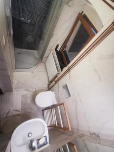 uma casa de banho com um WC, um lavatório e um espelho. em Pasja Grofica em Idrija