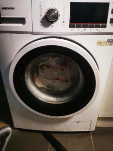 a washing machine with its door open in a room at Pasja Grofica in Idrija