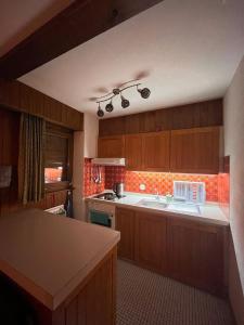 a kitchen with a sink and a counter in it at Ischwarzsee in Plaffeien