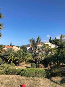 ein Haus mit Palmen und Büschen im Hof in der Unterkunft Luxury villa with amazing views in 3200m2 in Laroque-des-Albères
