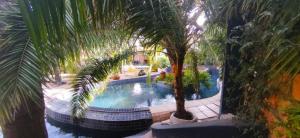 basen z palmą na dziedzińcu w obiekcie The quaint cottage with a pool w mieście Naivasha