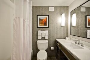 Hilton Garden Inn Austin Round Rock的一间浴室