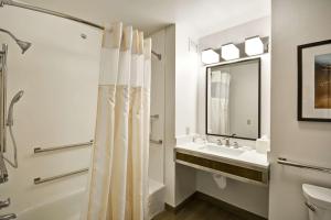 圆石城Hilton Garden Inn Austin Round Rock的带浴帘和水槽的浴室