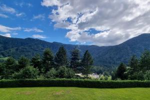 a green field with trees and mountains in the background at Happy Guest Apartments - Mountain Panorama Borno in Borno