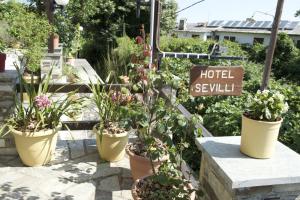 Zahrada ubytování Hotel Sevilli